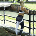 Mesh Pattern Print Leggings Fitness Leggings For Women Sporting Workout Leggins Jogging Elastic Slim Black White Pants